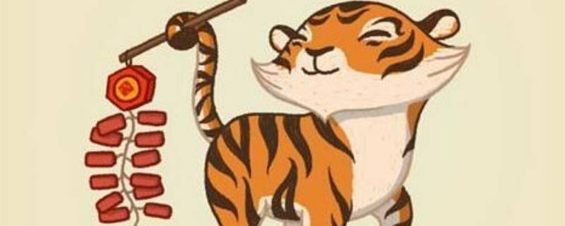 虎过完了下一年是什么 虎过后是什么年