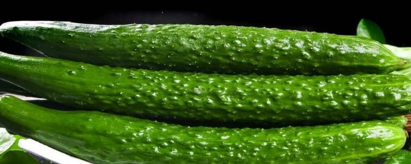 含膳食纤维的蔬菜水果有哪些（富含膳食纤维的蔬菜和水果有哪些）