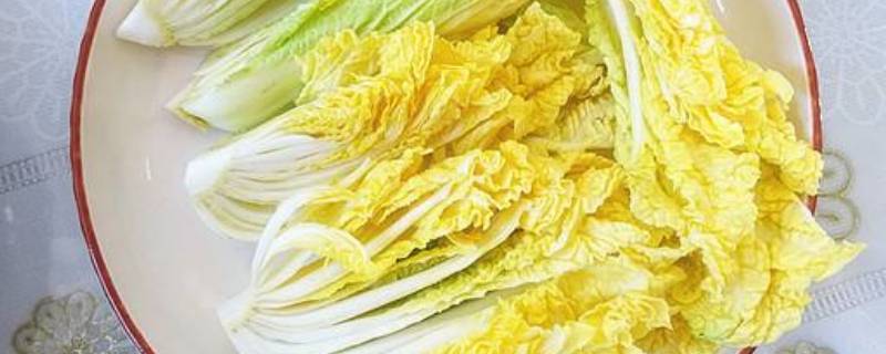 娃娃菜上的黑色斑点是什么（娃娃菜黑斑和黑点）