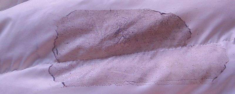 老鼠贴上的胶粘到衣服上怎么去除 强力粘鼠板粘到衣服了怎么洗掉