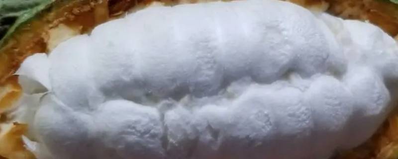 生物碱有哪些（胍类生物碱有哪些）