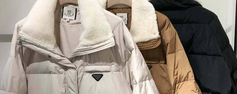 羽绒服不可干洗是什么意思（羽绒服上不可干洗什么意思）