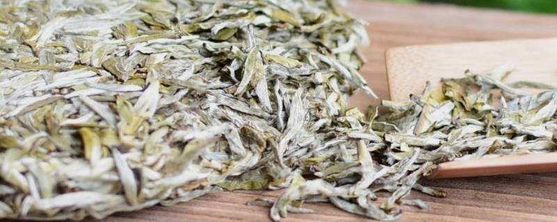 白茶饼怎么撬开（白茶饼如何撬开）
