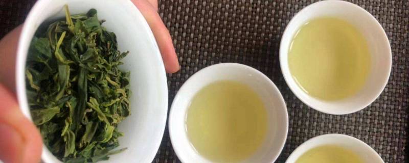 铁观音是什么茶系 铁观音茶是什么茶类