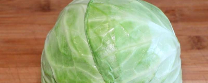 花白是什么菜（花白是啥菜）
