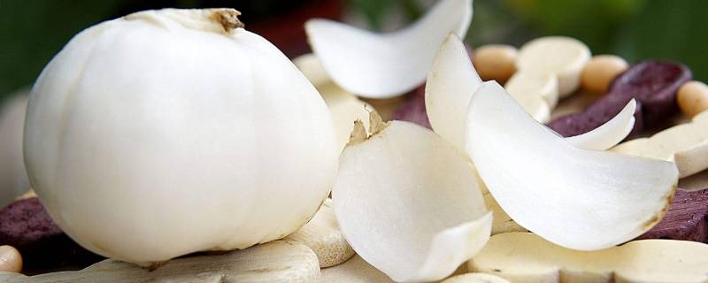 新鲜百合冷藏还是冷冻 鲜百合冷冻吗