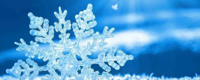 雪花种类 雪花种类有哪些