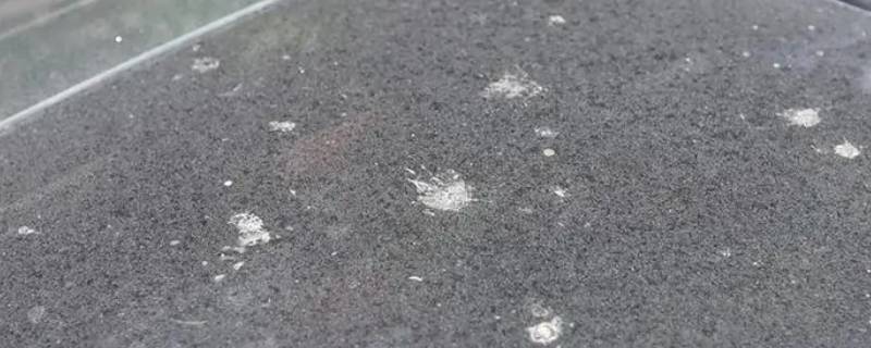 为什么太阳晒过的水渍擦不掉（太阳能水垢怎么处理）