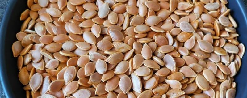 空气炸锅烤南瓜子几分钟（空气炸锅南瓜烤多久）