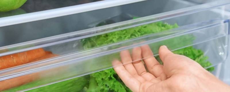 冬季怎样自然储存蔬菜（冬季储存蔬菜的方法）