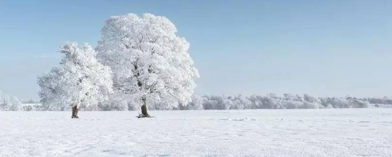 下雪的时候会打雷吗（为什么打雷会下雪）