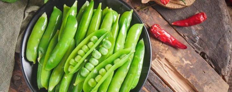 麦豆是豌豆吗（豌豆是豌豆吗）