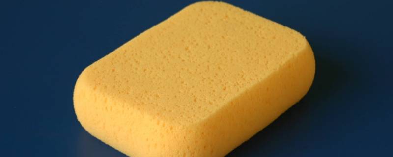 海绵寿命 海绵寿命多久