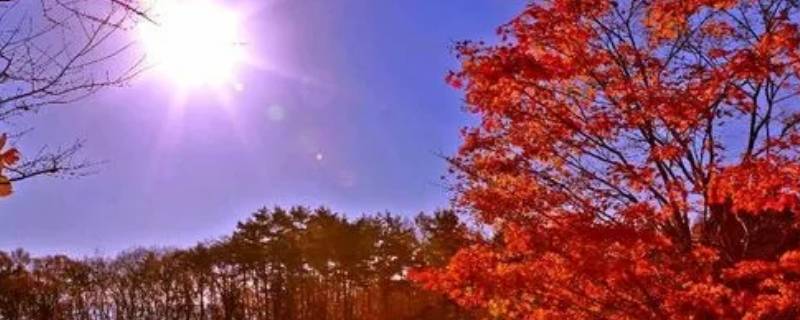九点钟的太阳叫什么（九点半的太阳叫什么）