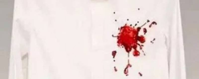 衣服血渍怎么洗掉（衣服血渍怎么洗掉妙招）