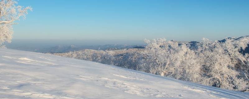 在家里怎么自己造雪（如何自己在家造雪）