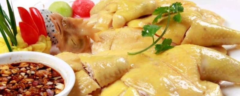 文昌鸡为什么熟得这么快（文昌鸡的生长时间）