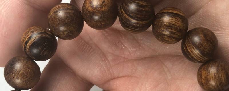 印尼贡木和巴布亚贡木的区别 巴布亚贡木印尼贡木味道差别