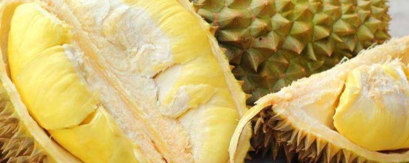 榴莲坏了是什么样 榴莲坏了是什么样子的?能不能吃?