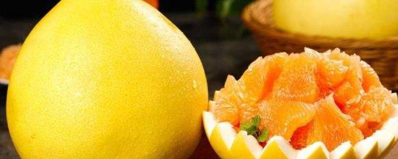 柚子是感光食物吗 柚子是感光食物嘛