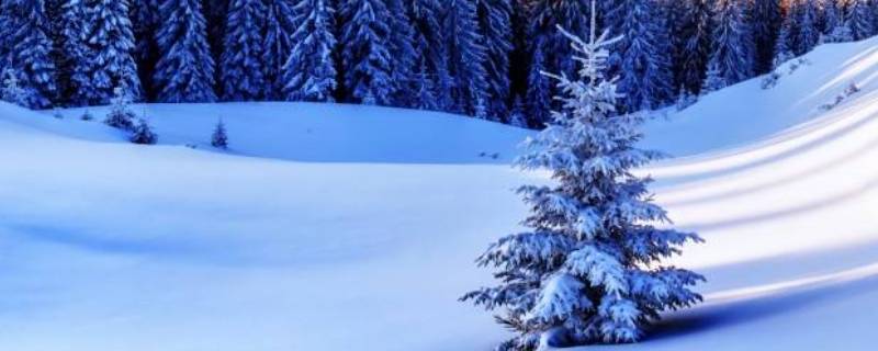 雪为什么是白色的（冬天的雪为什么是白色的）