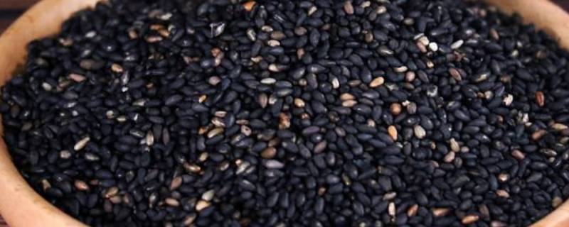 怎样判断黑芝麻炒熟了（怎么判断黑芝麻有没有炒熟）