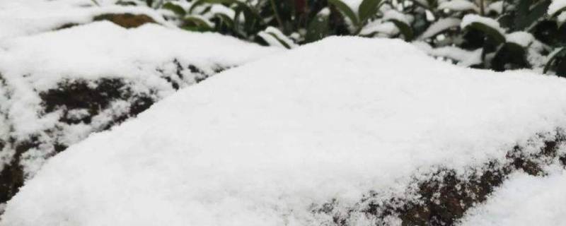 中雪有多厚 中雪有多厚图片