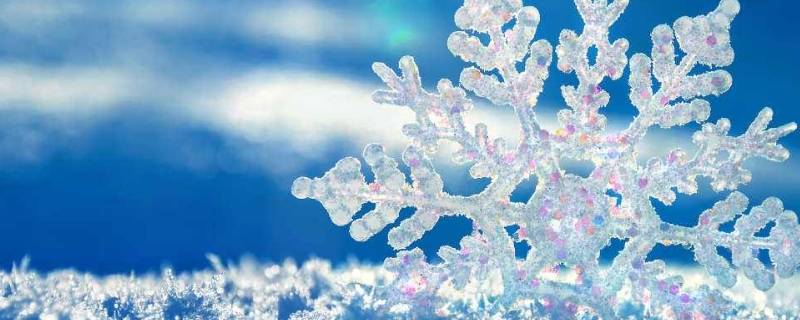 雪里面有什么成分（雪里面的成分）
