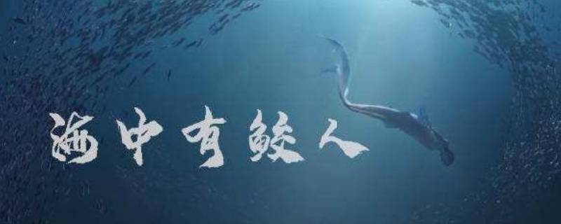 鲛珠是什么（鲛珠是什么样子的）