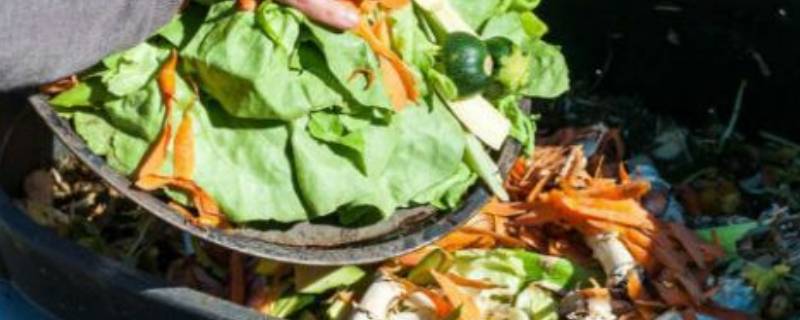 生物垃圾有哪些 生物垃圾有哪些1