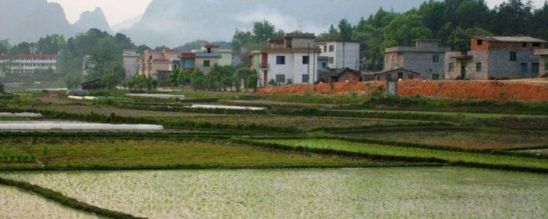 农村为什么叫农村（什么叫农村?）