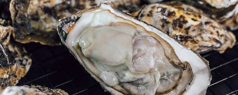 带壳的海蛎子怎么保存（去壳的海蛎子怎么保存）