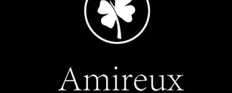 Amireux寓意（Amireux寓意是什么）