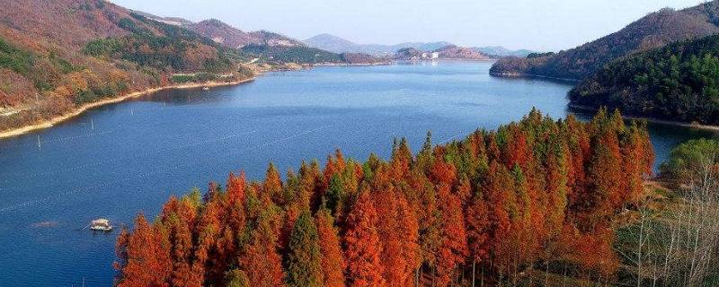庐江是哪里 汉末庐江是哪里