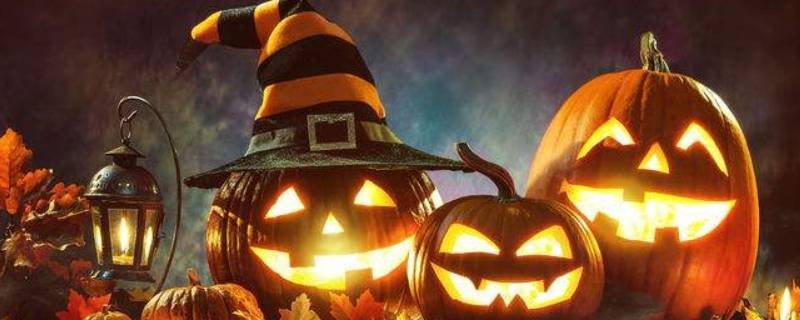 万圣节为什么有南瓜（万圣节为什么有南瓜和蝙蝠）