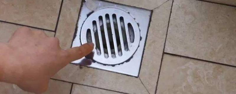 纸堵下水道能化开吗（卫生纸堵住水管可以化开）