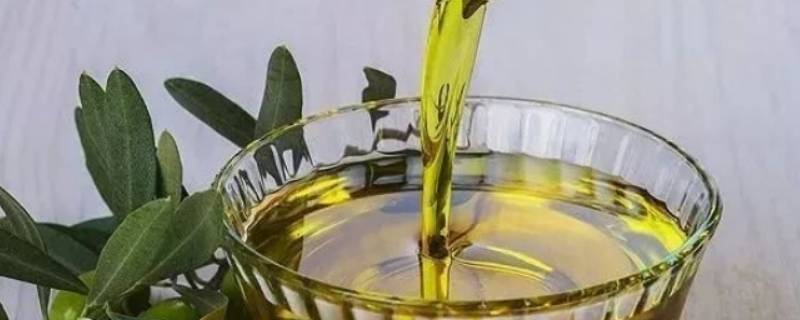 橄榄油的保质期一般是几年 橄榄油保质期有几年
