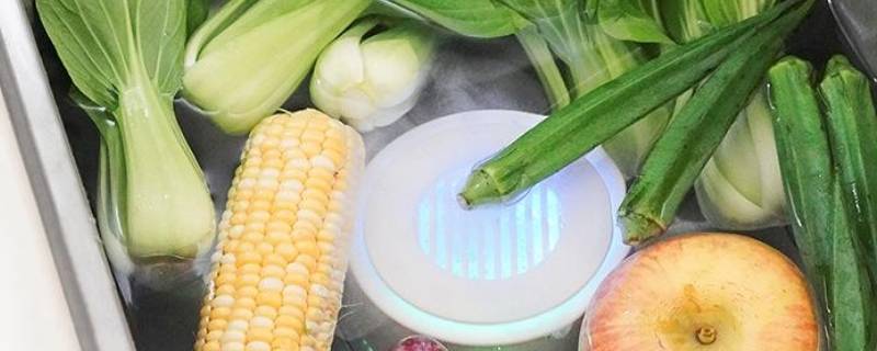 洗菜的时候放的那个仪器叫做什么（洗菜放进去的仪器是什么）