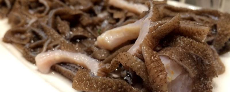 新鲜牛百叶怎么处理吃起来脆（牛百叶怎么处理才爽脆）