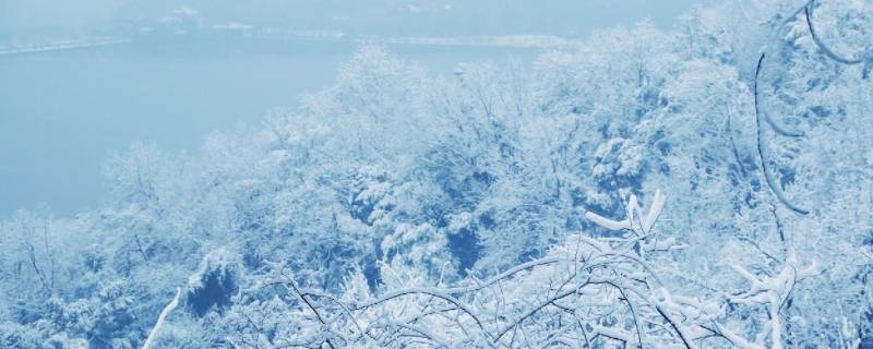 雪的密度（雪的密度和冰的密度哪个大）