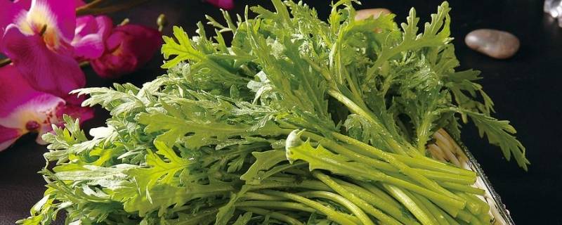 菊花菜为什么要焯水 菊花菜为什么要焯水过吗