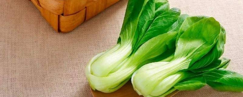 过年吃青菜寓意是什么（除夕吃青菜寓意着什么）