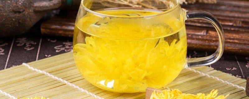 菊花茶一次泡几朵（菊花茶每次泡几朵）