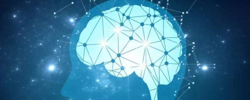 记忆术包括哪些方法 记忆术包括哪些方法大学心理健康