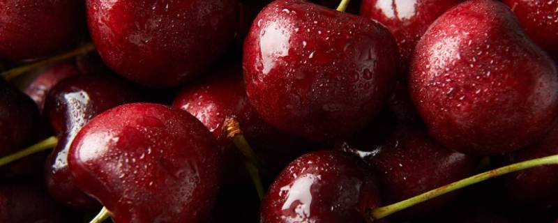 车厘子是脆的还是软的 车厘子为什么是脆的