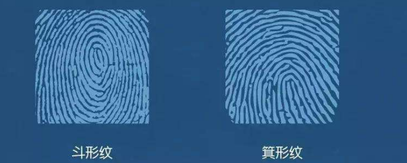 斗型花纹是什么 斗形花纹是什么样的