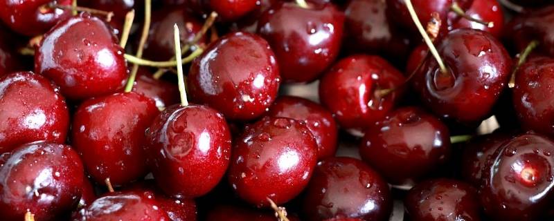 车厘子30mm是几J（30mm车厘子有多大）