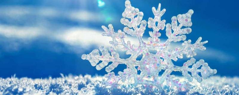 雪脏吗（雪到底脏不脏）