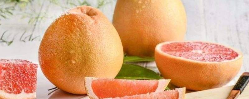 柚子能去除甲醛吗 柚子可以去除甲醛吗