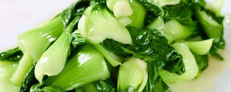 条根白是什么蔬菜（长长的白根是什么菜）